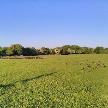凯尔斯 Castletownmoor Clinic & Permaculture Farm酒店 外观 照片
