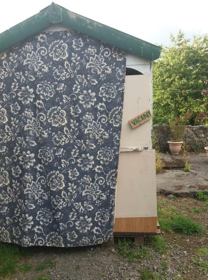 凯尔斯 Castletownmoor Clinic & Permaculture Farm酒店 外观 照片