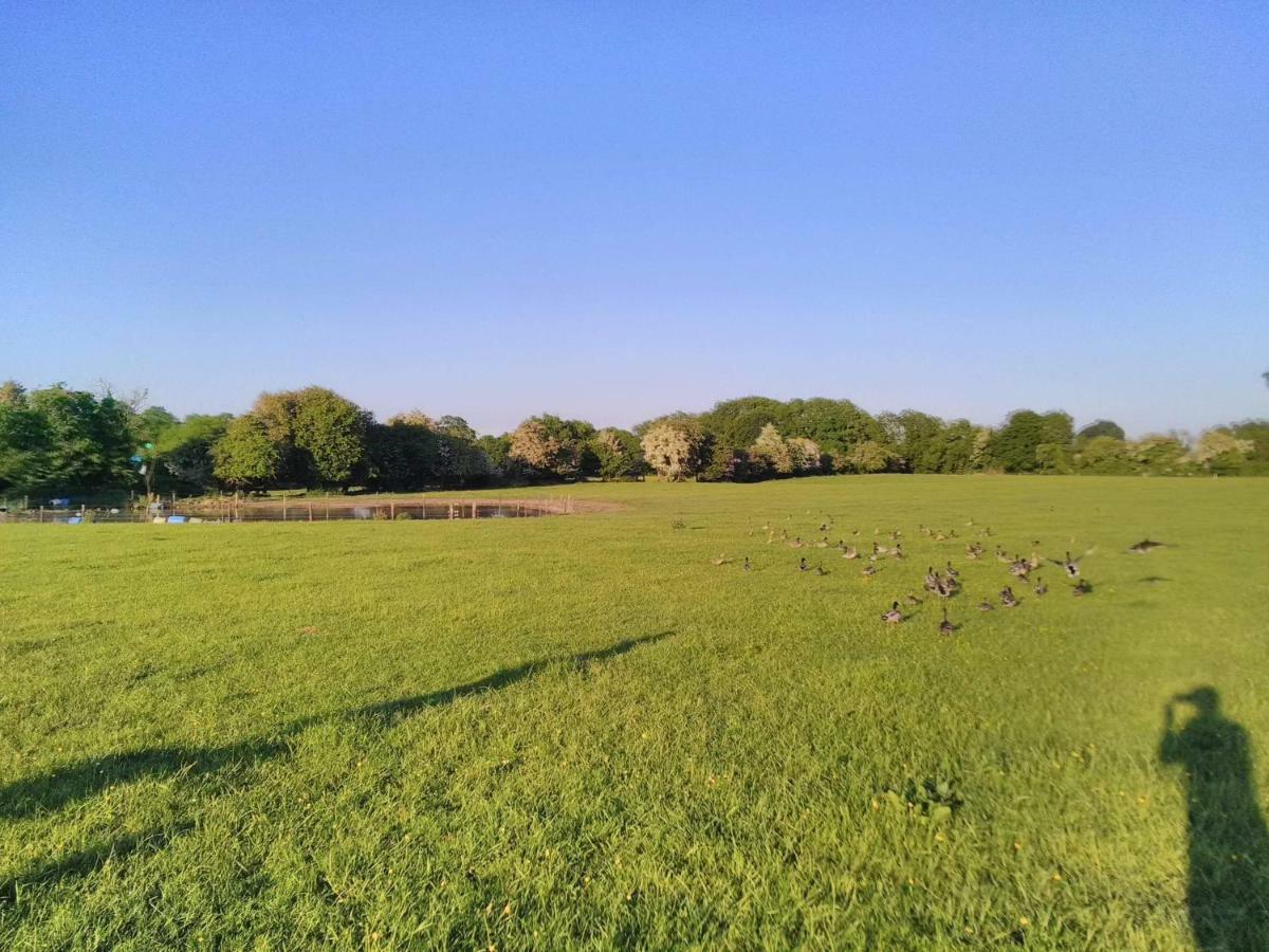 凯尔斯 Castletownmoor Clinic & Permaculture Farm酒店 外观 照片