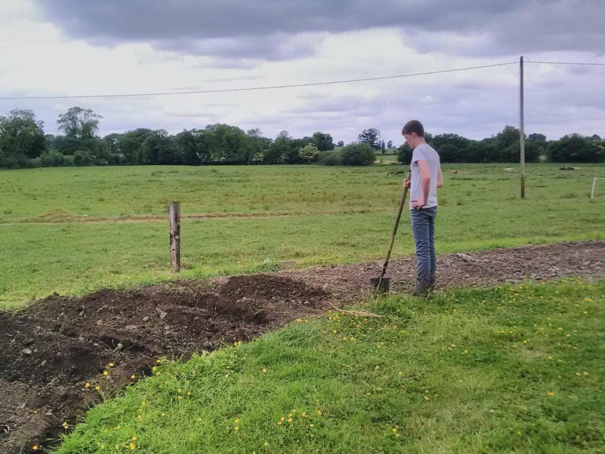 凯尔斯 Castletownmoor Clinic & Permaculture Farm酒店 外观 照片