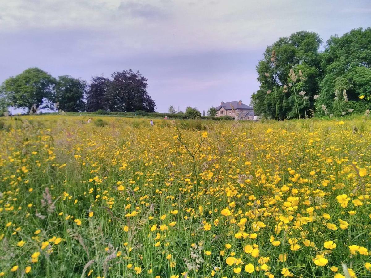凯尔斯 Castletownmoor Clinic & Permaculture Farm酒店 外观 照片